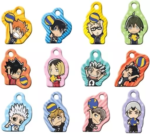 全12種セット 「ハイキュー!! TO THE TOP メタルコレクション」