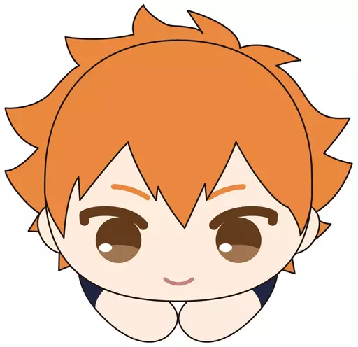 日向翔陽 「ハイキュー!! はぐキャラコレクション」