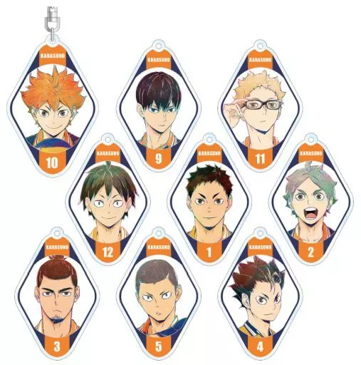 全9種セット 「ハイキュー!! TO THE TOP トレーディング Ani-Art 第4弾 アクリルキーホルダー」