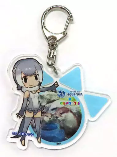 コツメカワウソ アクリルキーホルダー 「サンシャイン水族館×けものフレンズ すごーい! たーのしー! コラボ企画第2弾」
