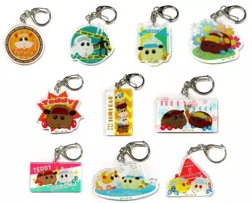 全10種セット 「PUI PUI モルカー デザインアクリルキーホルダーコレクション＜10＞」