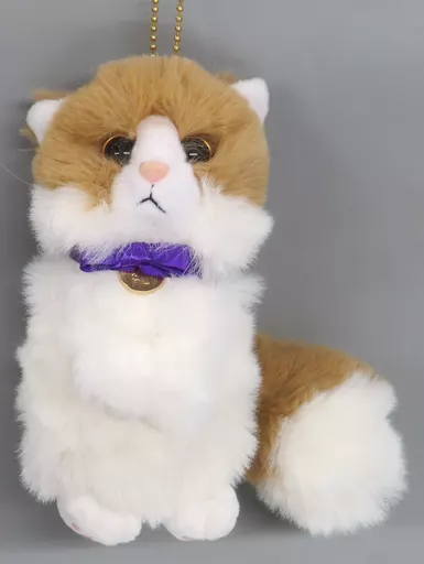 駿河屋 -<中古>[箱欠品] 藤原樹 produce Healing MARS 「THE RAMPAGE