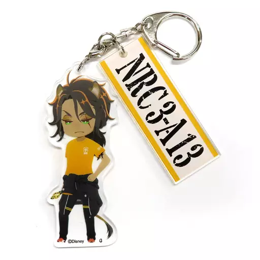 レオナ・キングスカラー アクリルキーホルダー 体操服ver. 「ディズニー ツイステッドワンダーランド」 ベルメゾン限定