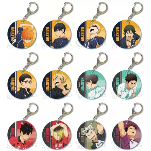 全12種セット 「ハイキュー!! トレーディングやわらかクリアチャーム」