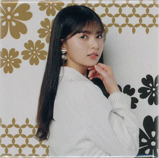 乃木坂46 春夏秋冬/フォーシーズンズ ランダムマグネットコンプリートセット 乃木坂46 春夏秋冬/フォーシーズンズ ランダムマグネット コンプリート