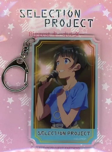 淀川逢生 Biggestキーホルダー 「SELECTION PROJECT」