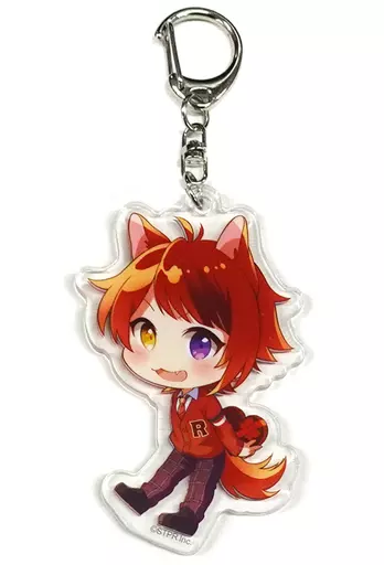 駿河屋 -<中古>莉犬(すとろべりーぷりんす) すとぷりあくきー(2022