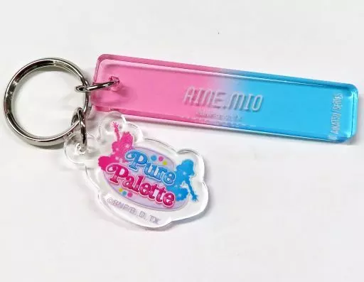 PurePalette 「オールアイカツ!×ヴィレッジヴァンガード 第3弾 アクリルプレートキーホルダー」