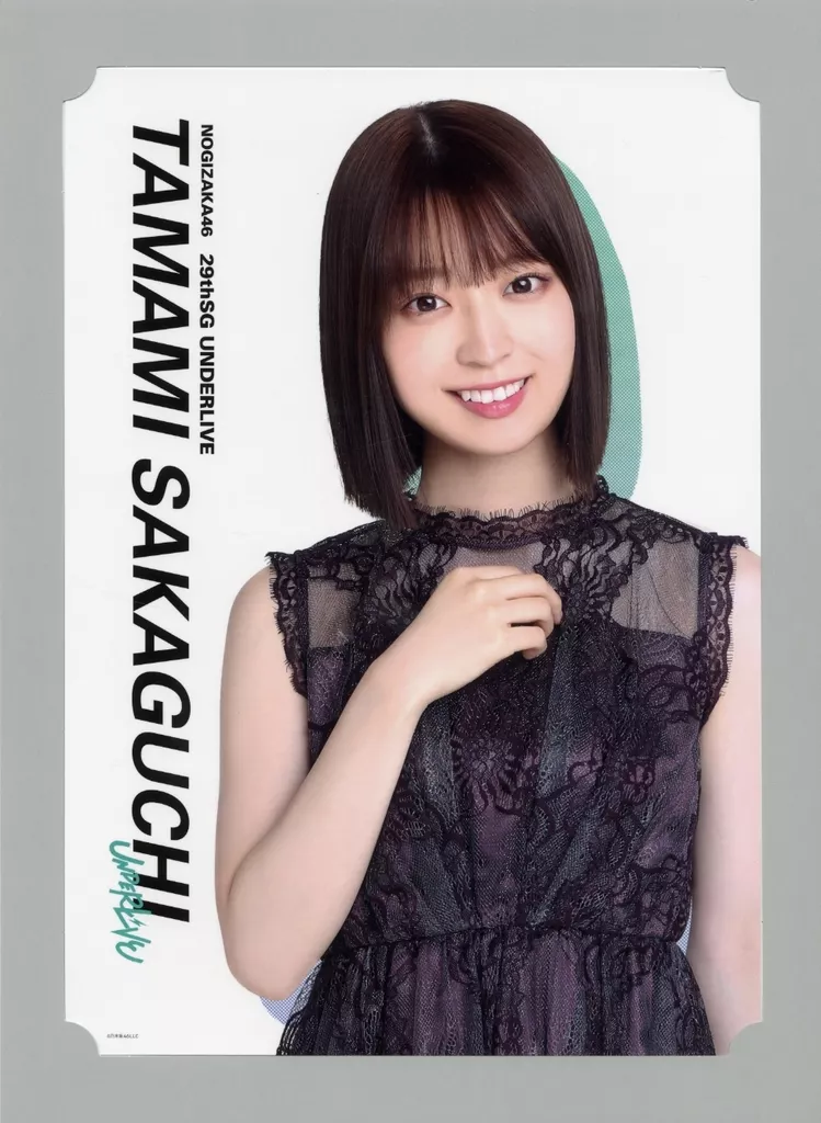 駿河屋 -<中古>阪口珠美 個別アートボード 「乃木坂46 29thSG アンダー 