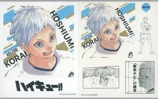 駿河屋 -<中古>星海光来 「ハイキュー!! フォトカード＆ステッカー