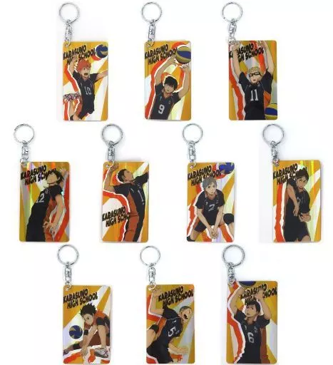 全10種セット 「ハイキュー!! TO THE TOP ホログラムプレートキーホルダーコレクション 烏野高校」