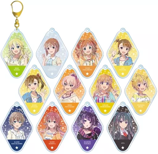 全12種セット 「アイドルマスター スターリットシーズン トレーディング Ani-Art アクリルキーホルダー ver.C」