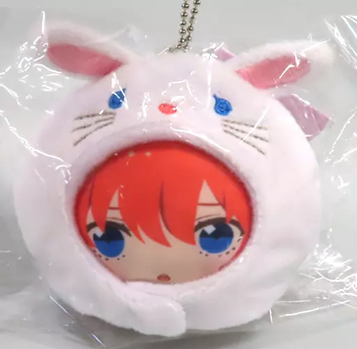 中野五月 あにずきん 「映画 五等分の花嫁」