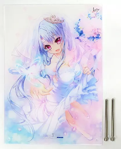 駿河屋 -<中古>空門蒼 胡蝶の夢 A4アクリルパネル 「Summer Pockets 