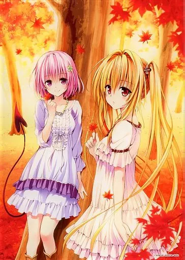 駿河屋 -<中古>モモ＆ヤミ アートパネルF 「To LOVEる -とらぶる- 15
