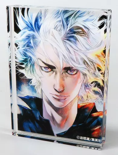 駿河屋 -<中古>斑目貘(着衣) 「嘘喰い アートブロックコレクション Vol