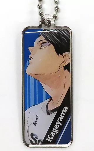 影山飛雄 メタルチャーム 「ハイキュー!! スティックケーキ」 同梱品