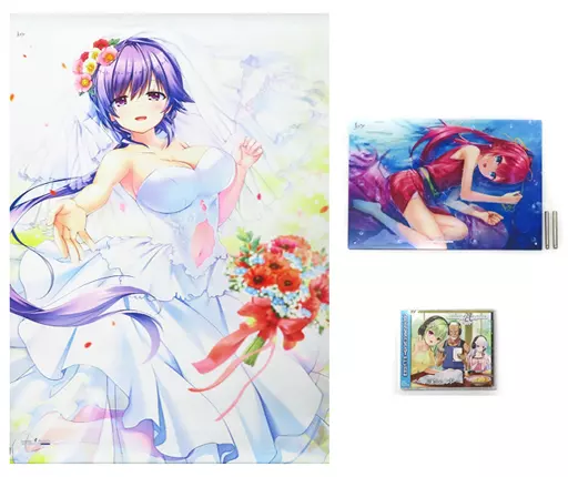 グッズセット　Summer Pockets REFLECTION BLUEセット ビジュアルアーツ冬フェス 2022＆C101グッズ