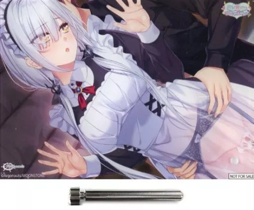 忍野路加 オリジナルA6アクリルパネル 「PCソフト 忍野路加は癒やしてあげたい 描き下ろしB2AJシルキースエードタペストリー付きセット」 アマゾン購入特典