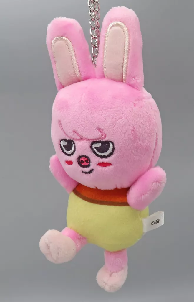 Stray Kids バッグチャーム チャンビン stray kids JYP ポップアップ 限定 バッグチャーム チャンビン