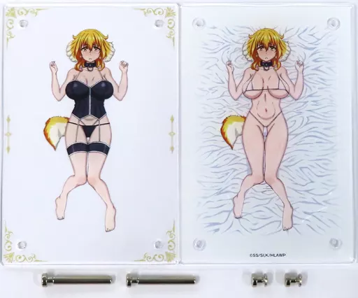 駿河屋 -<中古>ロクサーヌ ギミックアクリルパネル 「異世界迷宮