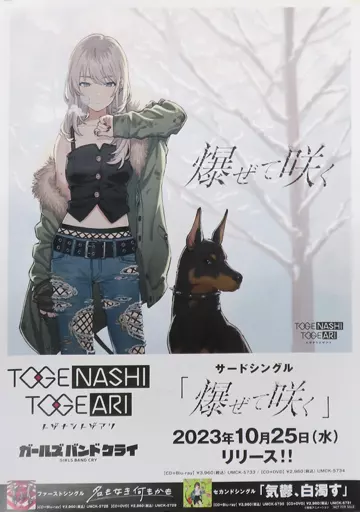 駿河屋 - 【買取】B2告知ポスター ジャケットイラスト 「CD ガールズ