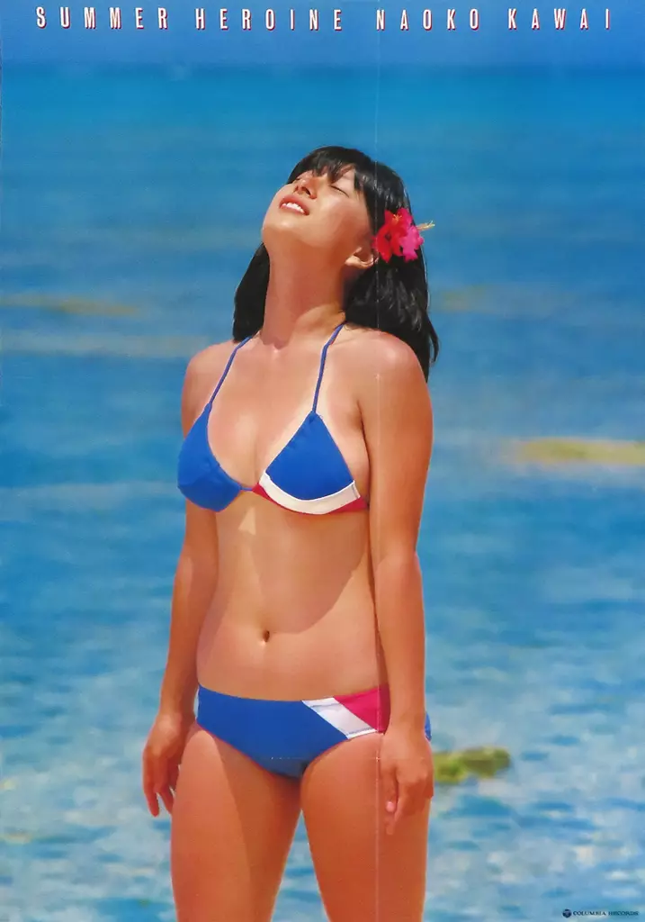 河合奈保子 夏のヒロイン ポスター 駿河屋 -<中古>[破損品] B2ポスター 河合奈保子 「夏のヒロイン
