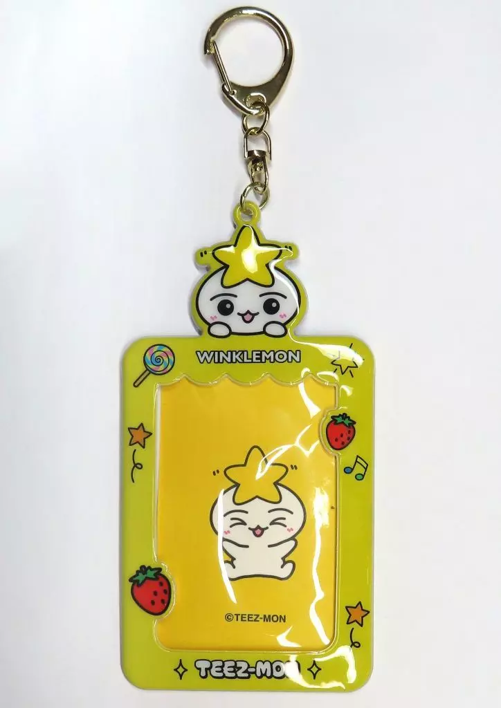 WINKLEMON(パク・ソンファ) フォトカードキーホルダー 「TEEZ-MON」