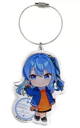 星街すいせい アクリル Travel season 「バーチャルYouTuber ホロライブ」