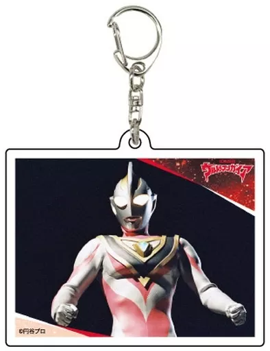 ウルトラマンガイアV2C 「ウルトラマン TDGシリーズ アクリル 04.ウルトラマンガイアver.」