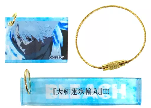 日番谷冬獅郎 「BLEACH-ブリーチ- 千年血戦篇 ANIME EXHIBITION into the other side メモリアルプレートコレクション」