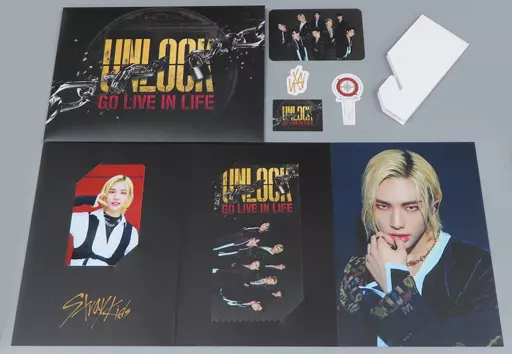 駿河屋 -<中古>ヒョンジン スペシャルARチケットセット 「Beyond LIVE