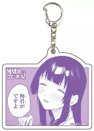 照井有栖 「生徒会にも穴はある! アクリル 01.公式イラスト」