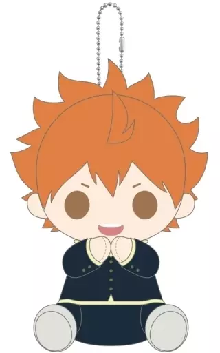 日向翔陽 ぴたぬい まぐねっと 「ハイキュー!!」