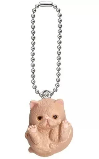エキゾチックショートヘア(クリーム) 「まんまるどうぶつ まんまるねこマスコット ～人気ネコちゃん大集合!～」