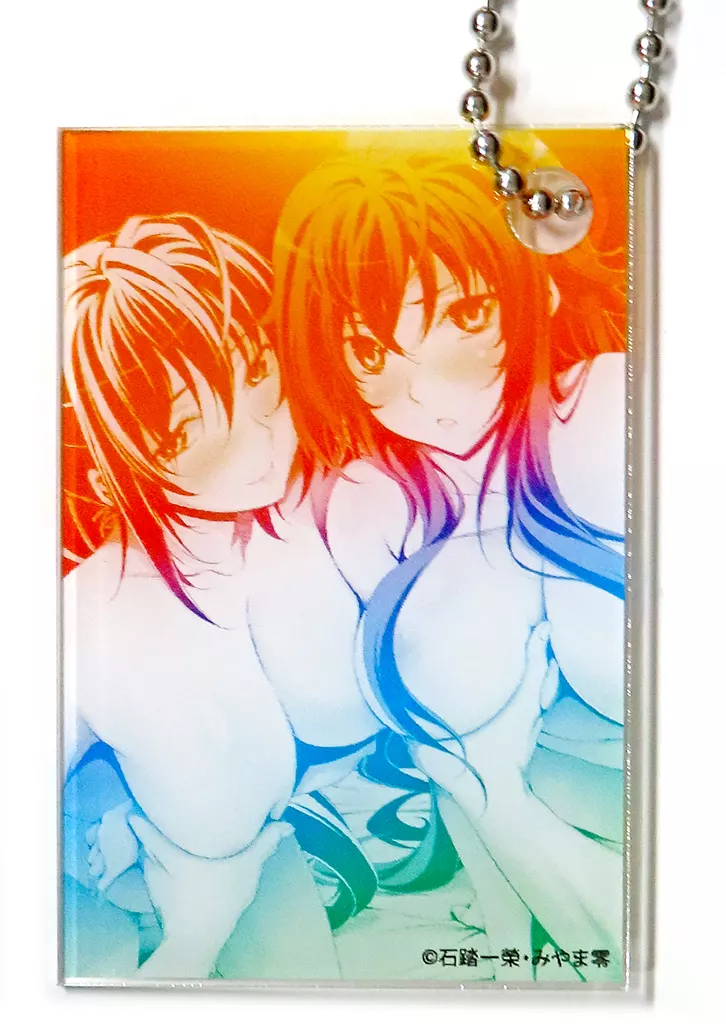 リアス・グレモリー＆姫島朱乃 オーロラ風アクリルカード 「くじ引き堂 ハイスクールD×D 15th anniversary オンラインくじ」 10連セット購入特典