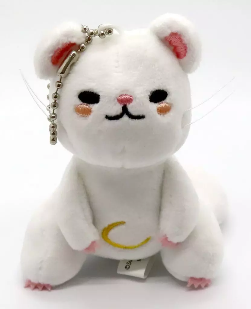 オナカ ぬいぐるみ 「ジャックジャンヌ」