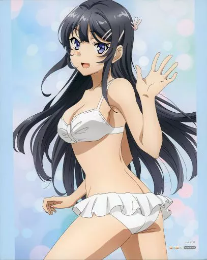 雑貨　桜島麻衣 F3キャンバスアート 「青春ブタ野郎シリーズ Season1 Blu-ray Disc BOX」 あみあみオンラインショップ購入特典