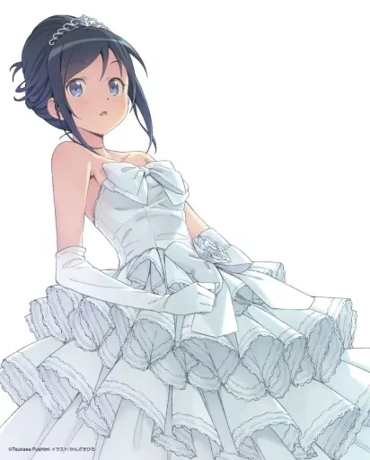 福袋 公式 駿河屋 -<中古>(2)新垣あやせ キャンバスアート 「俺の妹が その他