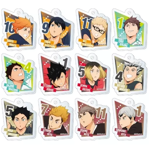 全12種セット 「ハイキュー!! アクリミニ アクリルキーチェーン2」