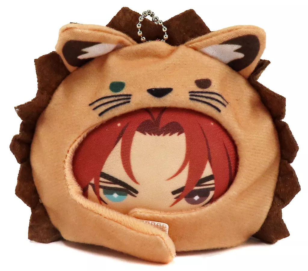 nuカーニバル あにずきん