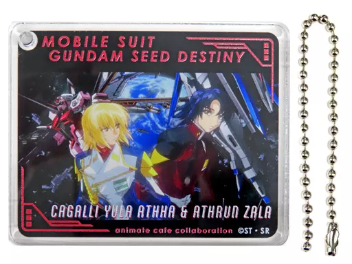 アスラン・ザラ＆カガリ・ユラ・アスハ 「機動戦士ガンダムSEED FREEDOM×animatecafe CoLottaトレーディングアクリルプレート」