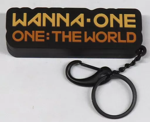 カン・ダニエル ボイスキーリング 「Wanna One World Tour ONE：THE WORLD」