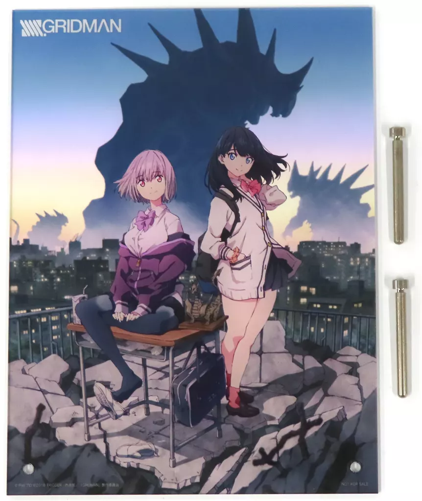 駿河屋 -<中古>[破損品] 宝多六花＆新条アカネ A4アクリルボード 