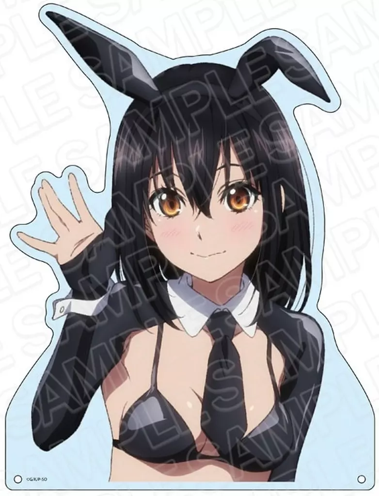 駿河屋 -<中古>姫柊雪菜 逆バニー ver. 特大ダイカットアクリルボード 
