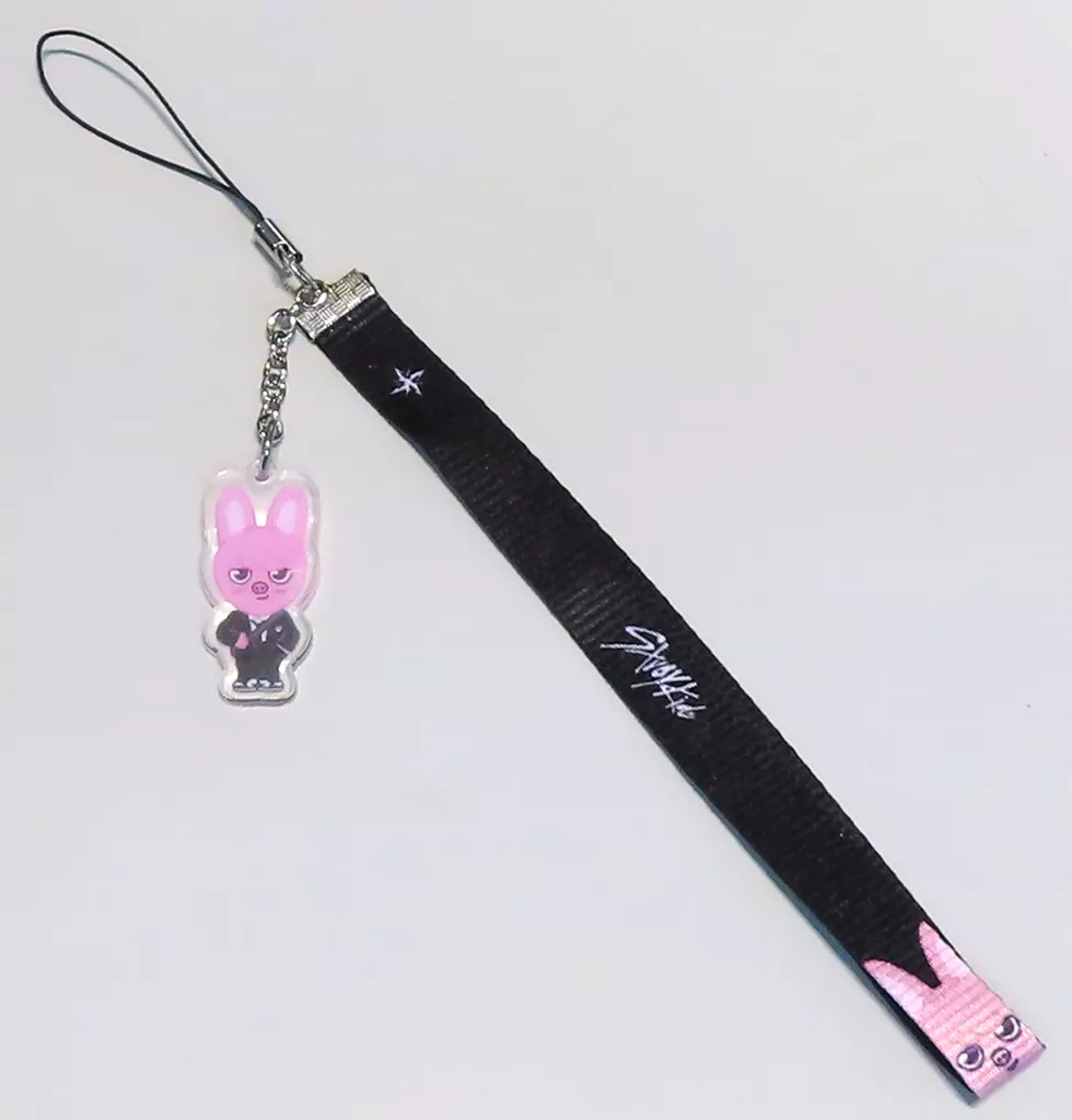 チャンビン SKZOO LIGHT STICK STRAP(ペンライト) DWAEKKI 「Stray Kids 5-STAR Dome Tour 2023 Seoul Special (UNVEIL 13)」