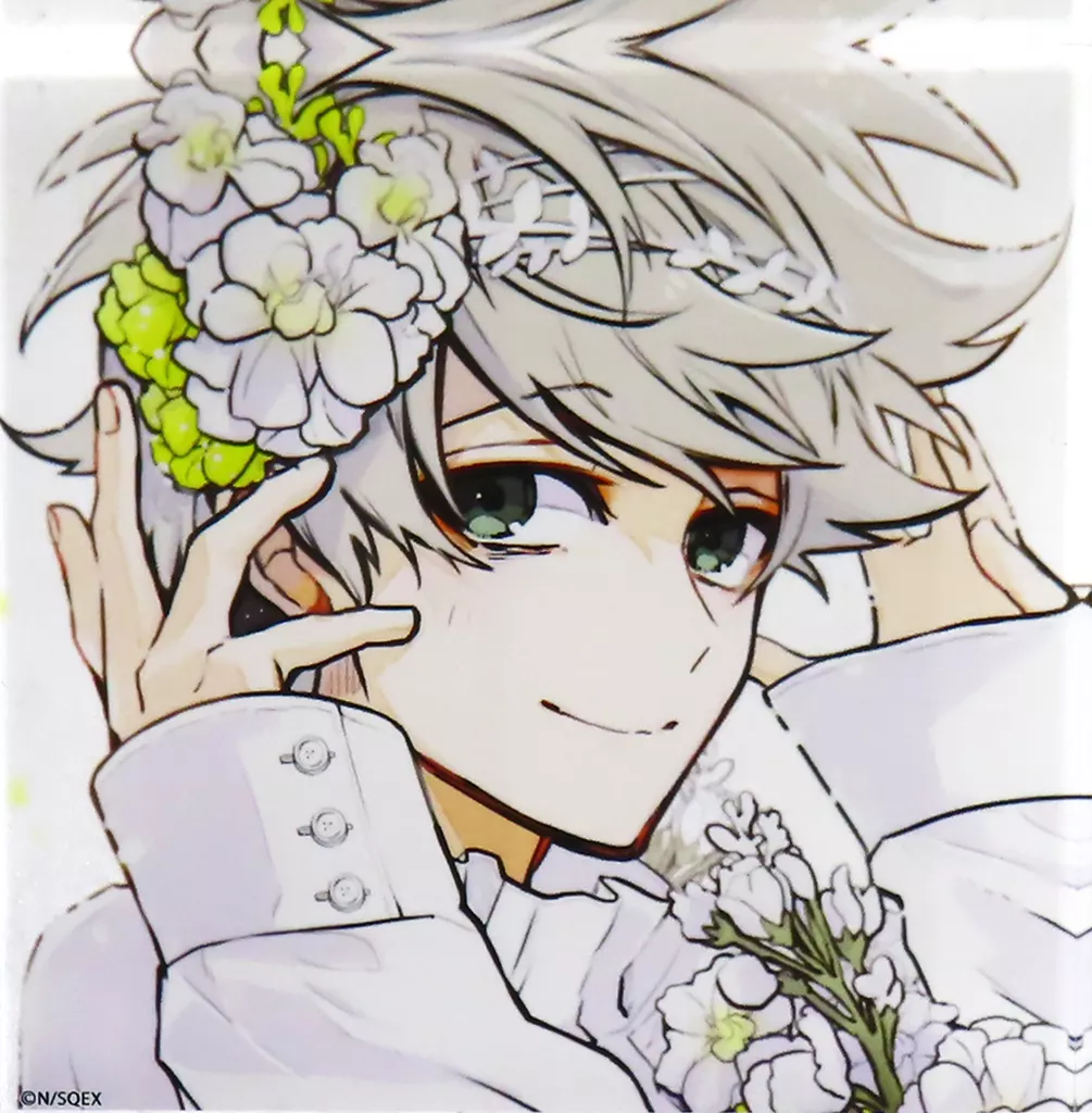 NO IMAGE