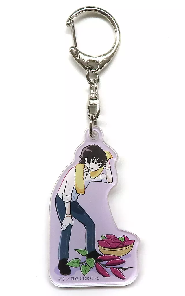 ルルーシュ・ランペルージ(適材適所という言葉があってだな) ぷちゆるコードギアスらいふ アクリル 「コードギアス 反逆のルルーシュ POP UP SHOP in アトレ秋葉原 A-on STORE 出張版」