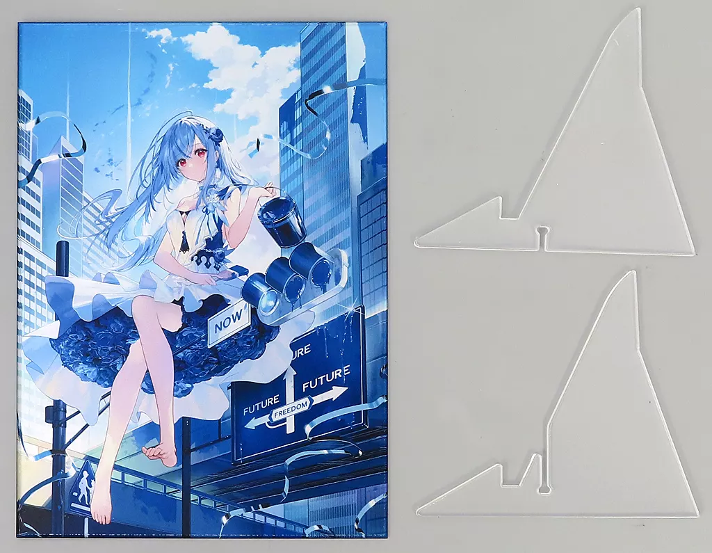 駿河屋 - 【買取】少年少女よ大志を抱け(necomi) アクリルアート