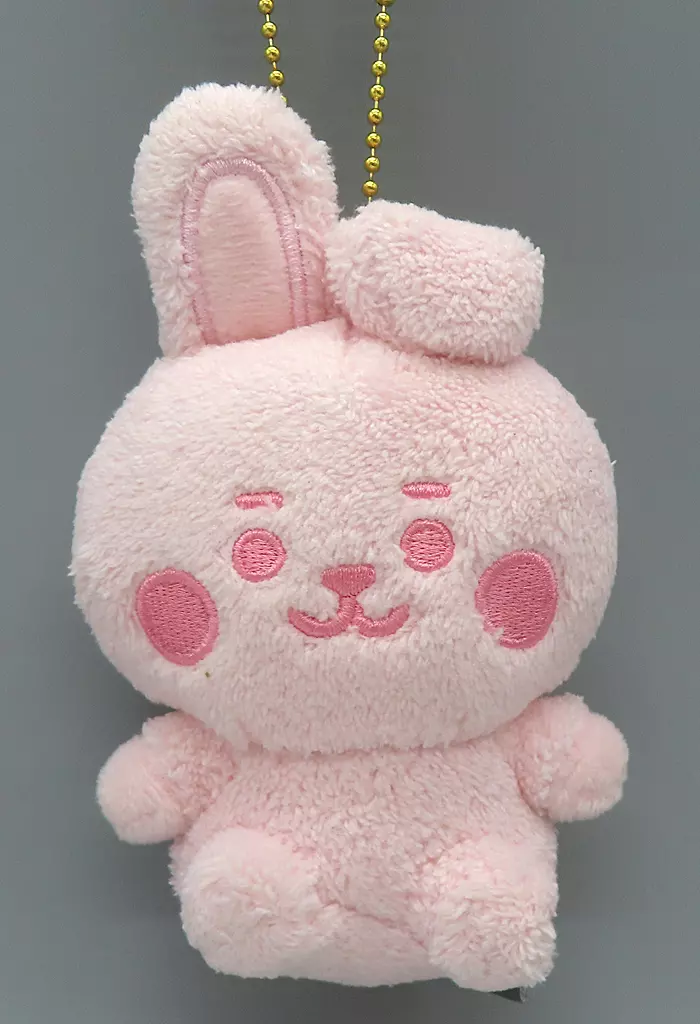 COOKY(ジョングク) BT21 BABY 5周年記念 レインボーカラー パステルマスコット 「BT21 5th Anniversary」
